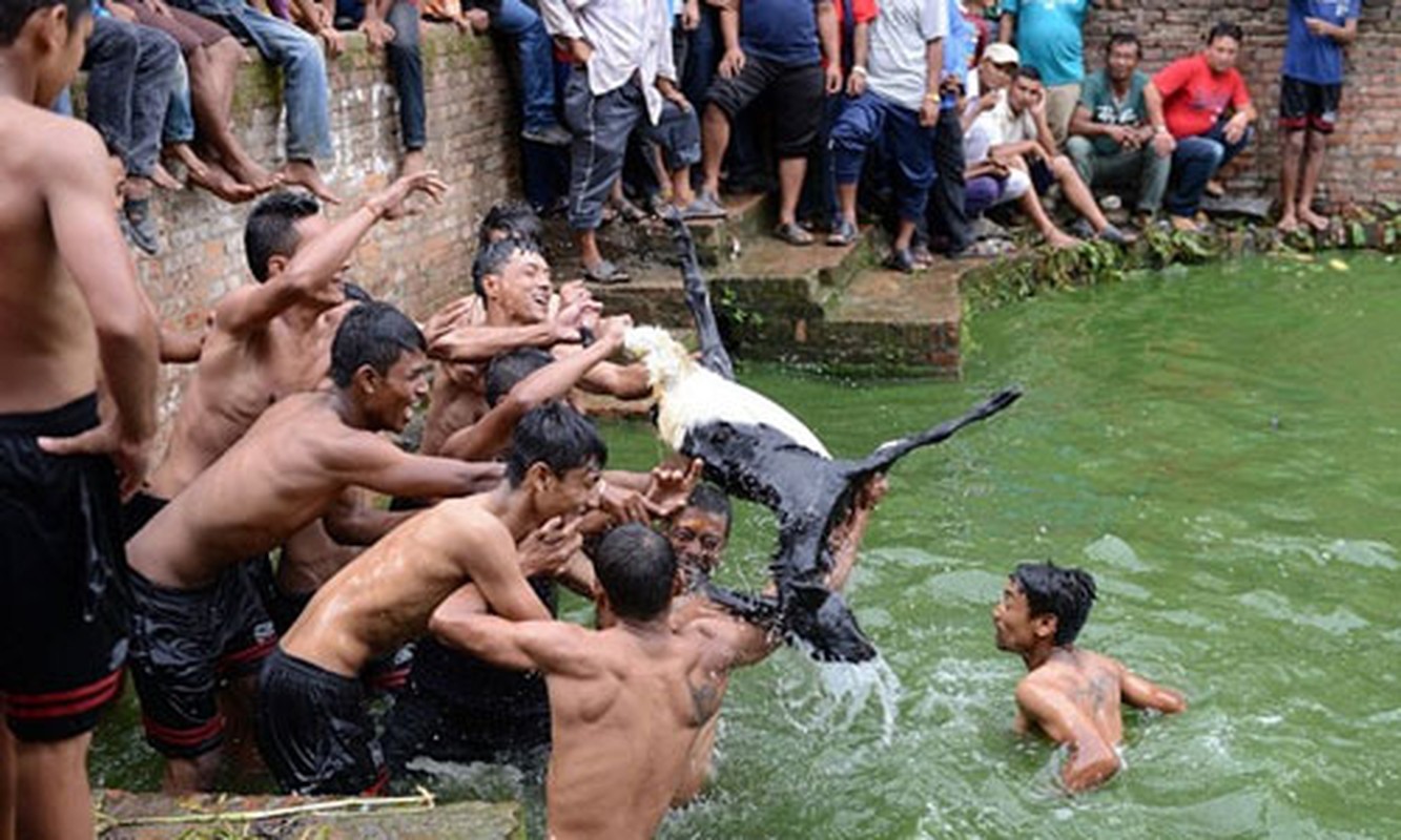 Nhung hinh anh man ro trong le hoi giet de o Nepal-Hinh-4